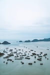 大海 海面 海边