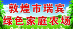 绿色草地