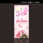 520  X展架