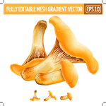 蘑菇