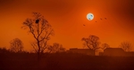 夕阳枯树人家意境背景