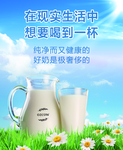 ozcow澳洲牛奶