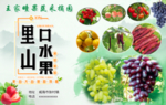 水果标签