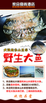 鱼展架