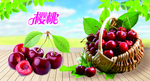 樱桃海报