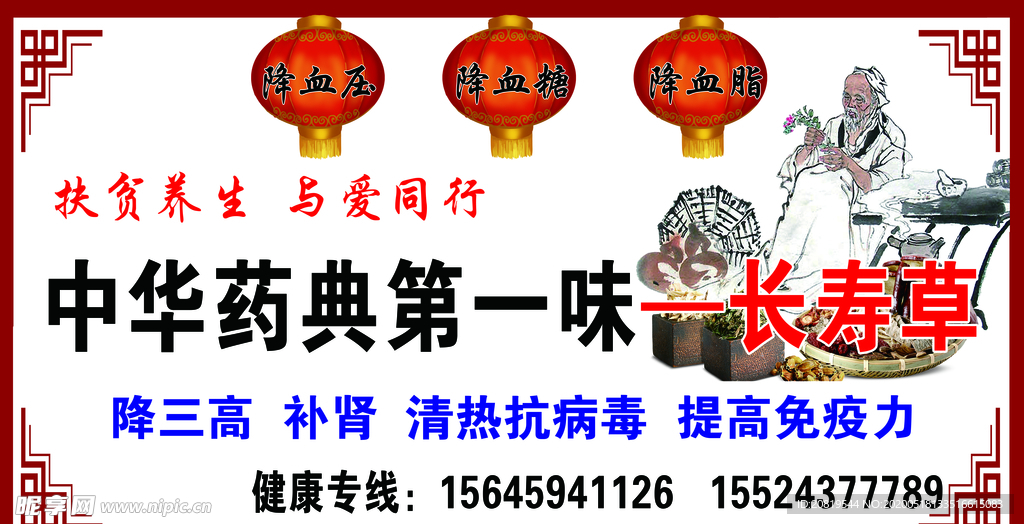 中华药典长寿草