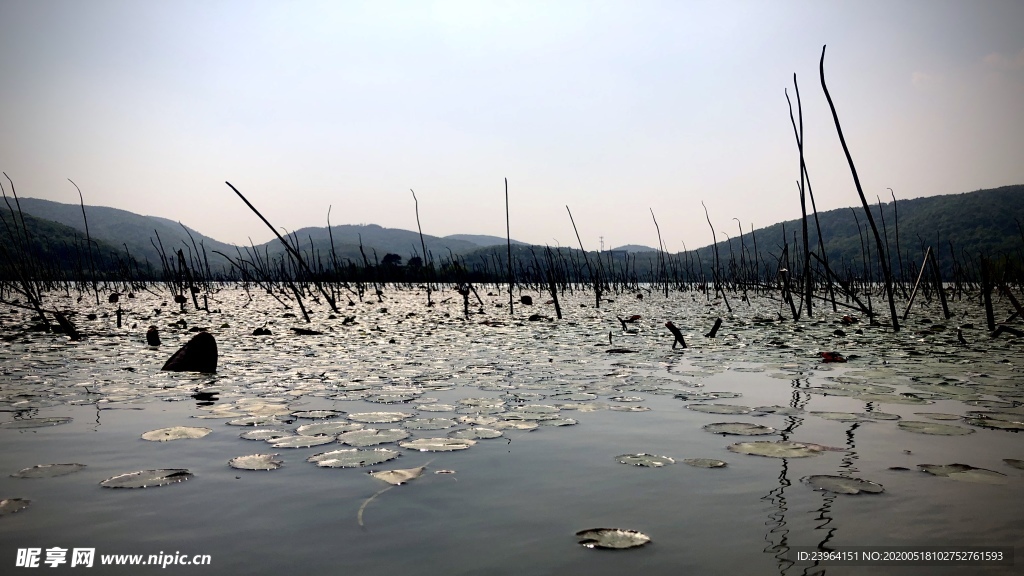 南北湖