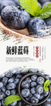 蓝莓水果海报