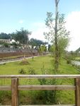 乡村公园景观