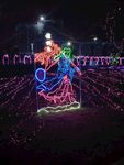 春节灯展