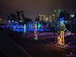 春节灯展