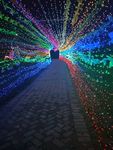灯展