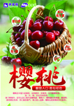 樱桃-水果文化牌