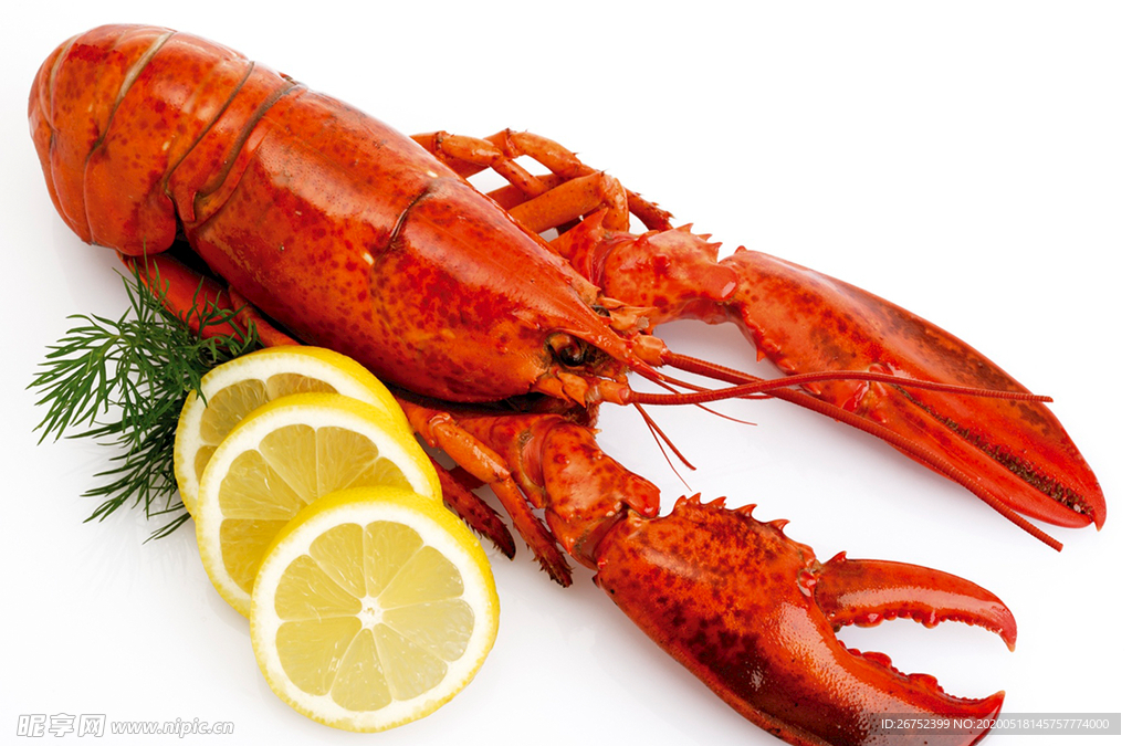 美食海报