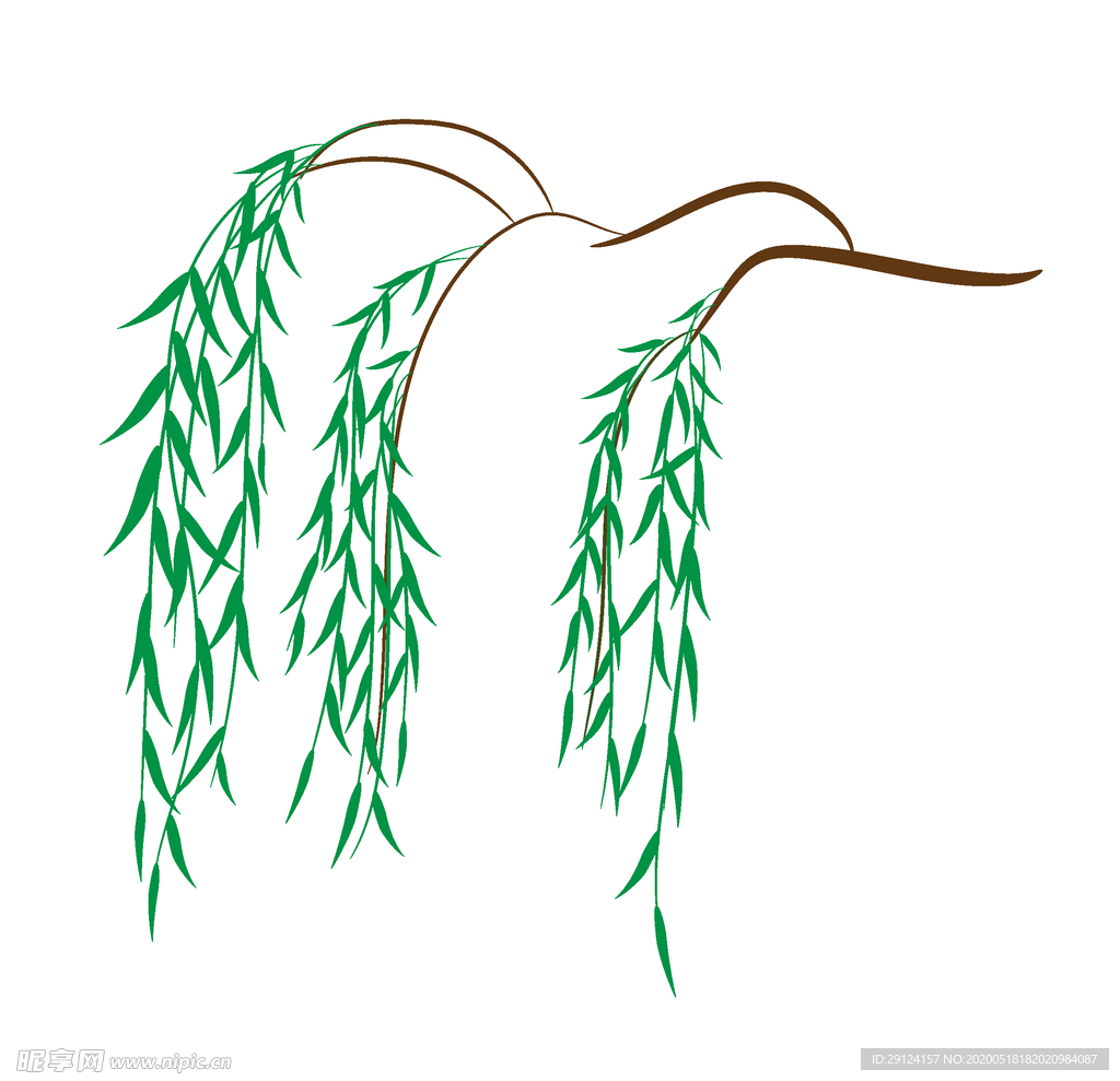 柳树