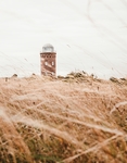 风景