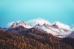风景