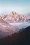 风景