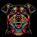 狗狗简笔画