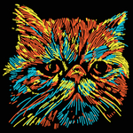 简笔画 猫
