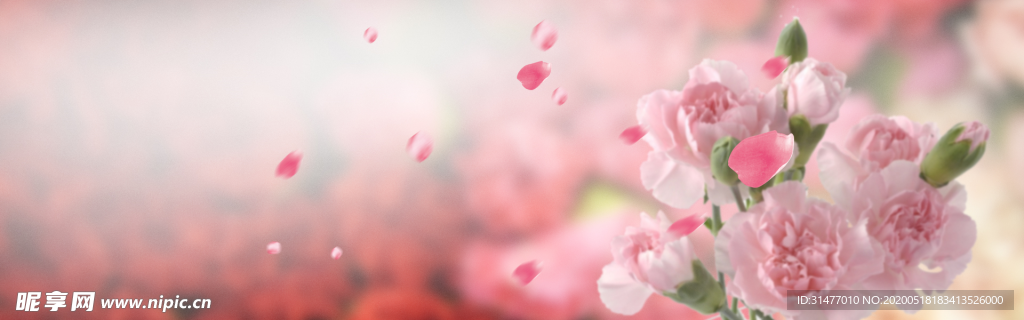粉色花朵背景 花瓣 落花