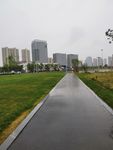 保定雨中小路
