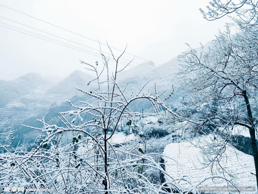 乡村的雪景