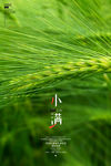 小满