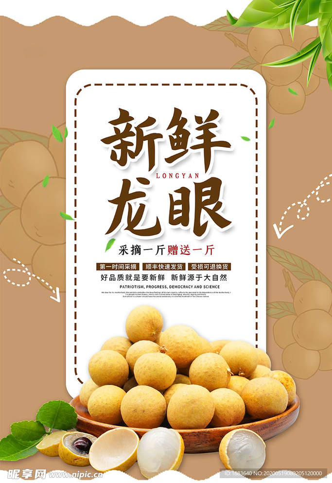 新鲜龙眼褐色简约海报