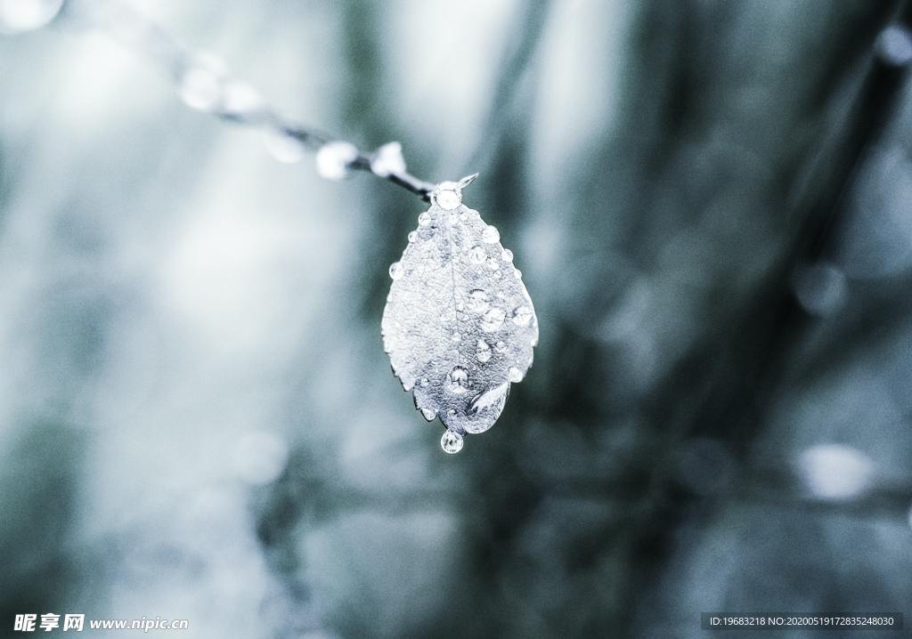 水珠