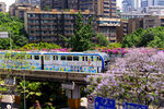重庆轻轨