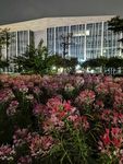 鲜花与演艺音乐馆
