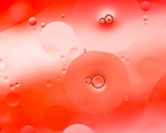 气泡