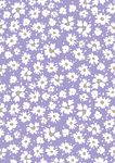 小碎花