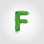 英文字母设计图片