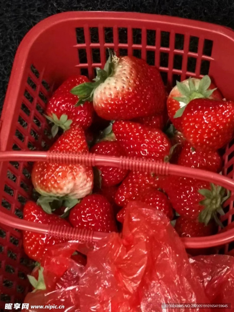 草莓
