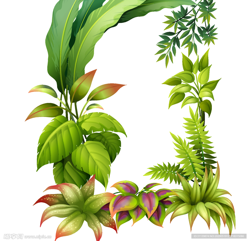 手绘花