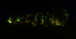 灌木夜景 亮化 素材