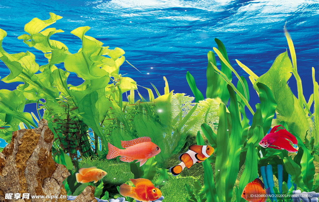 海底世界