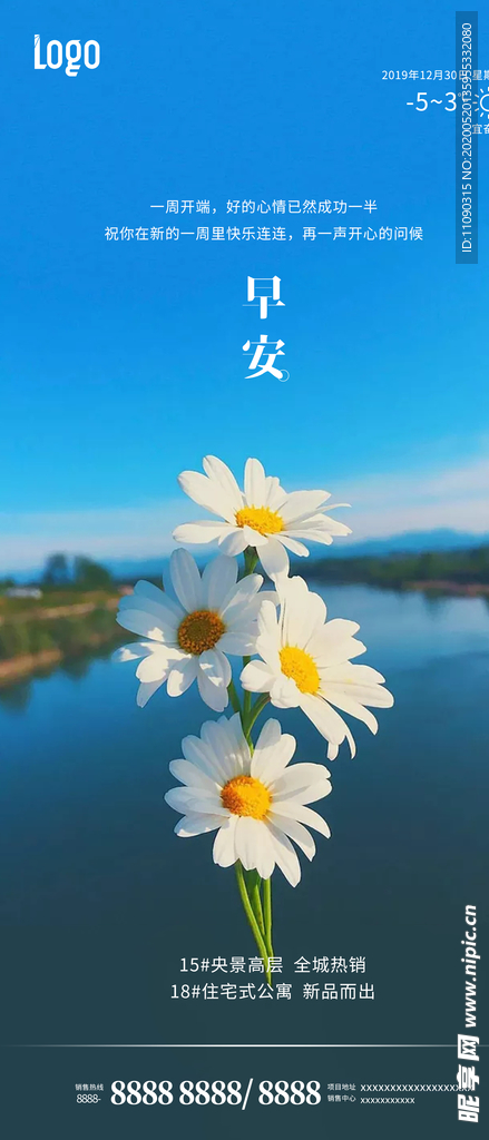 早安 白色小雏菊