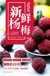 杨梅