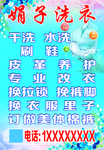 娟子洗衣