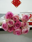 玫瑰花