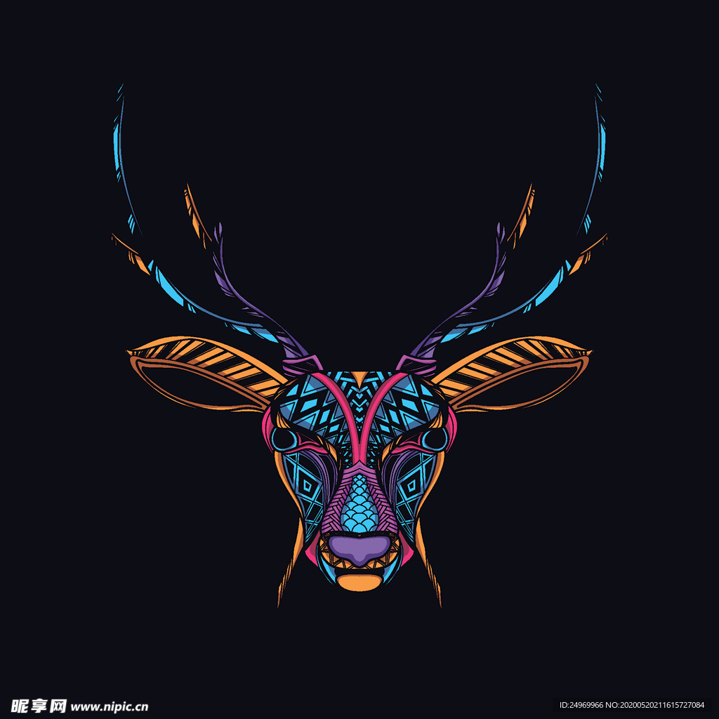动物插画
