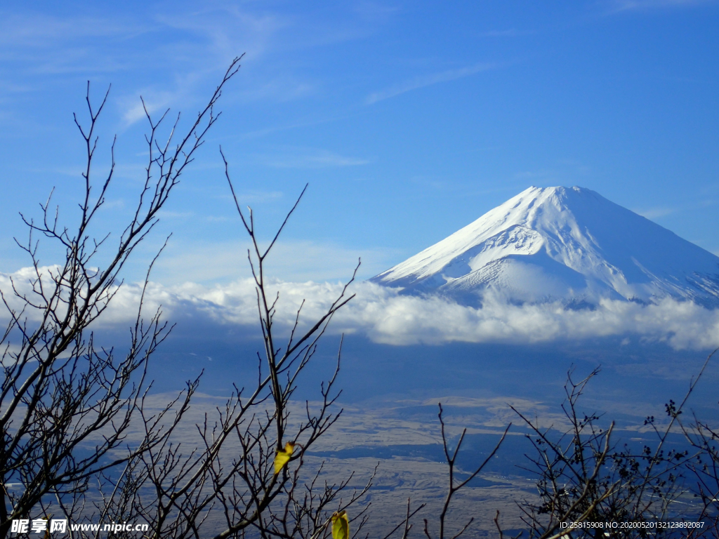 富士山火山图片