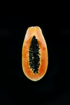 木瓜