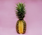 菠萝