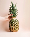 菠萝