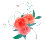 花朵月季牡丹插画卡通海报素材