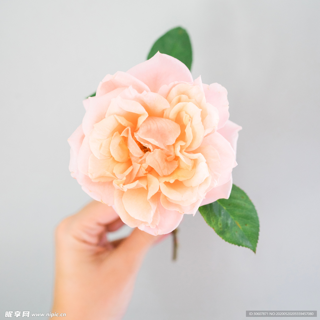 插花